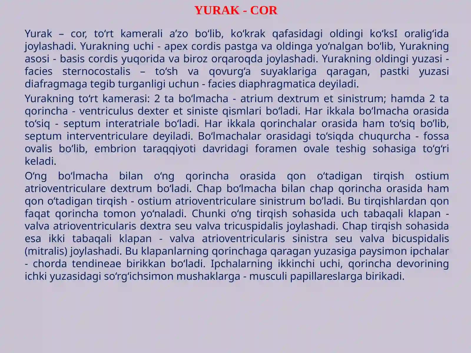 ANGIOLOGIA - QON TOMIRLAR HAQIDA ILM 4