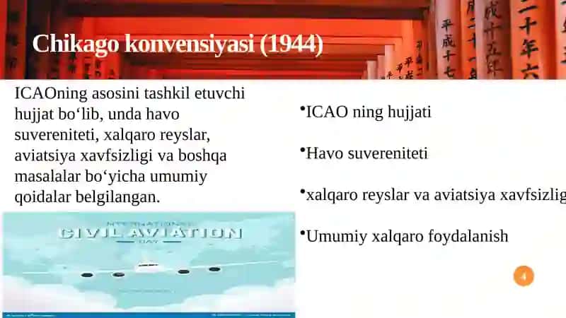 Xalqaro Fuqaro Aviatsiyasi Tashkiloti(ICAO) 4