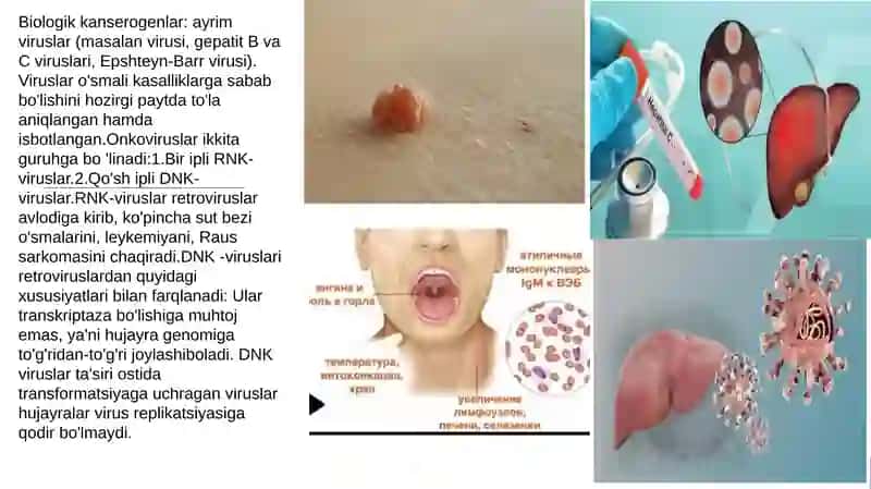 Kantserogen agentlar va ularning hujayralar bilan o’zaro tasiri 4