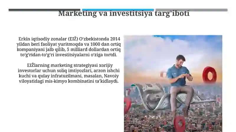 Erkin iqtisodiy zonalarning investitsiyalarni jalb qilishdagi roli 4