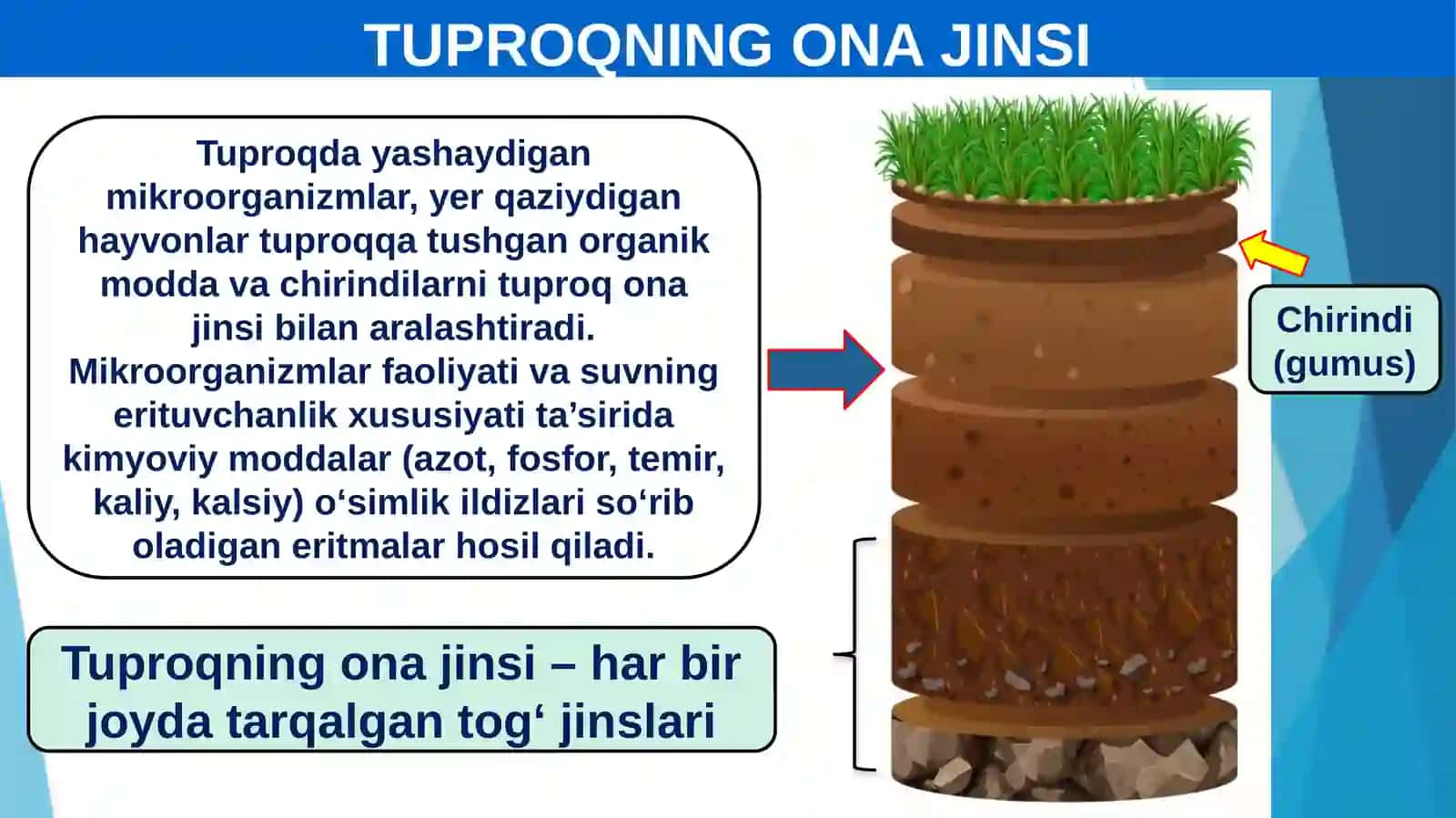 AGROBIOLOGIYA FAKULTETI 4