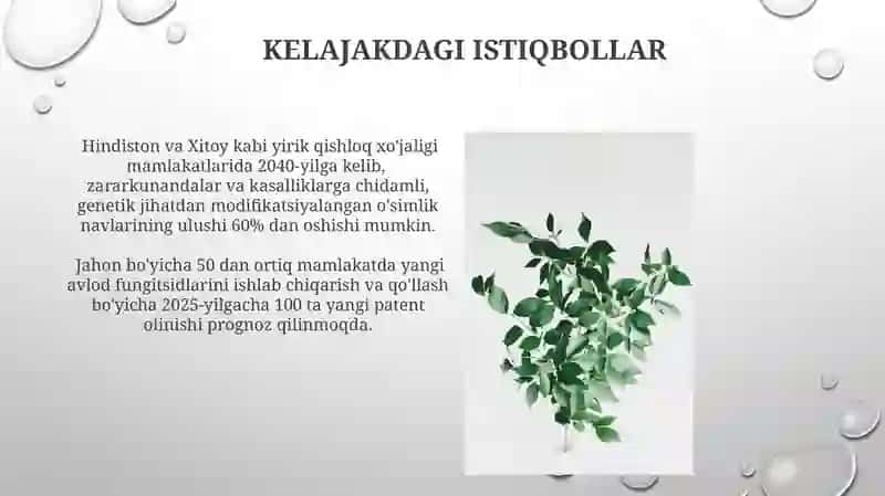 Oʻsimlik kasalliklariga qarshi qoʻllaniladigan kimyoviy vositalar 4