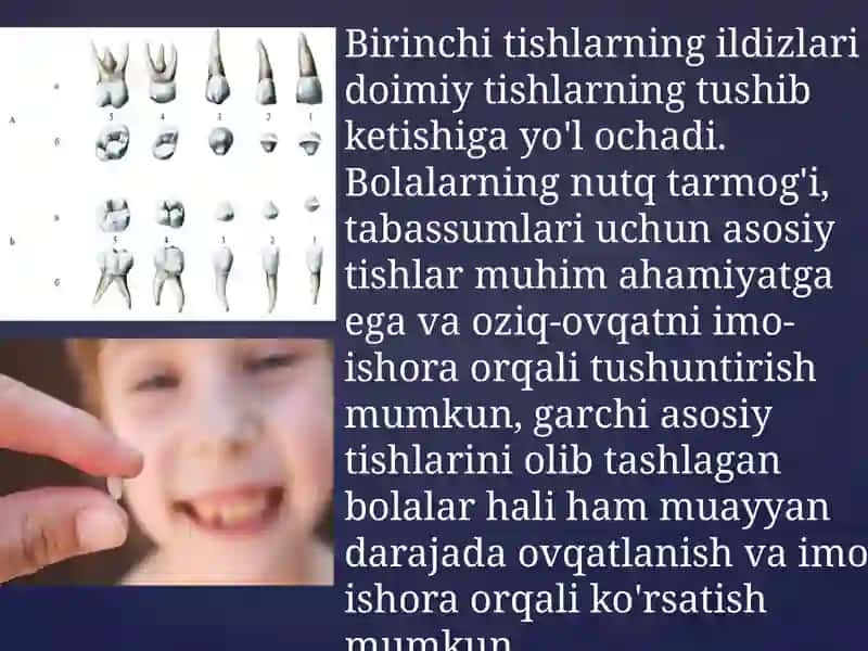 Suttishlarinianatomiyasi.Chiqishvaqti.Doimiytishdanfarqi.Tish-jag`segmentlari,burunbo`shlig`i,yuqorijag`bo`shlig`i,prikuslarvaanomaliyalari 4