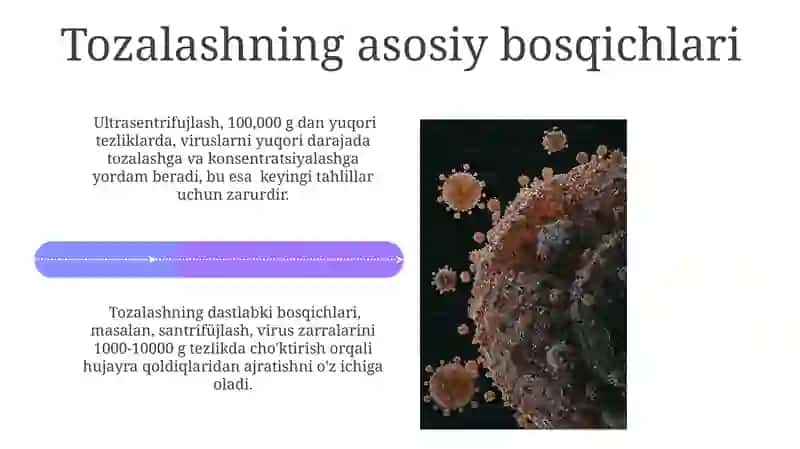 Viruslarni ajratish va biologik tozalasj 4
