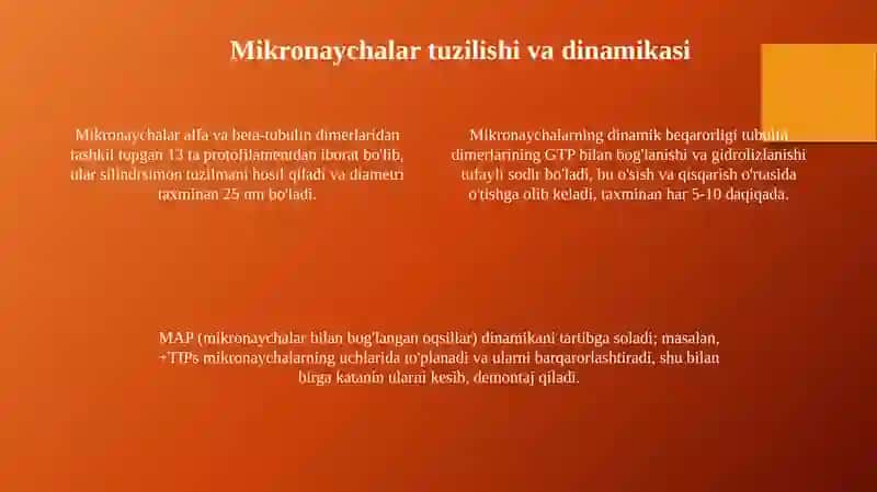Sentrosoma va Mikronaychalar Tuzilishi 4