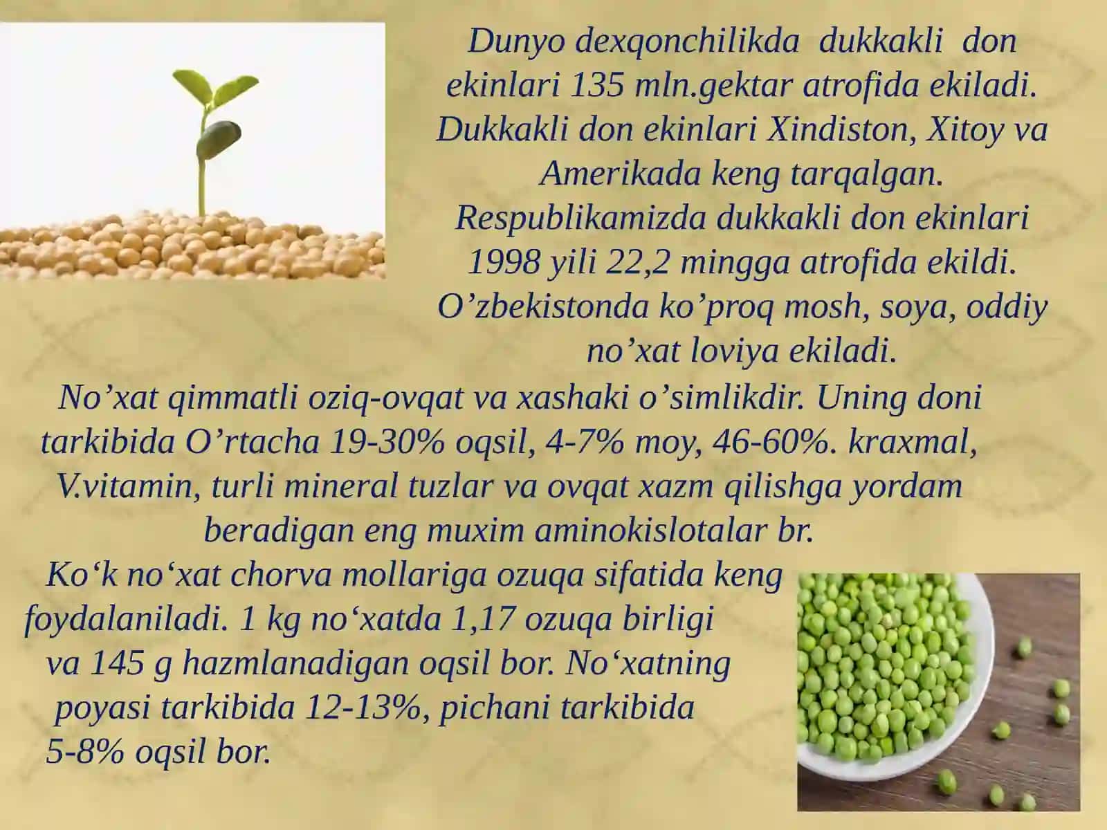 Dukkaklidonekinlarining umumiy tavsifi, ahamiyati, ishlatilishi, tarqalishi 4