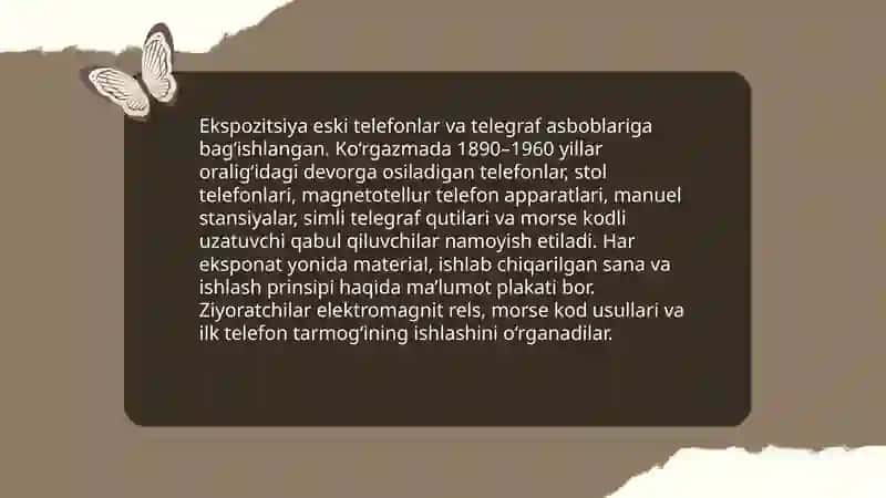 Muzeyning tashkil etilishi va tarixi 4