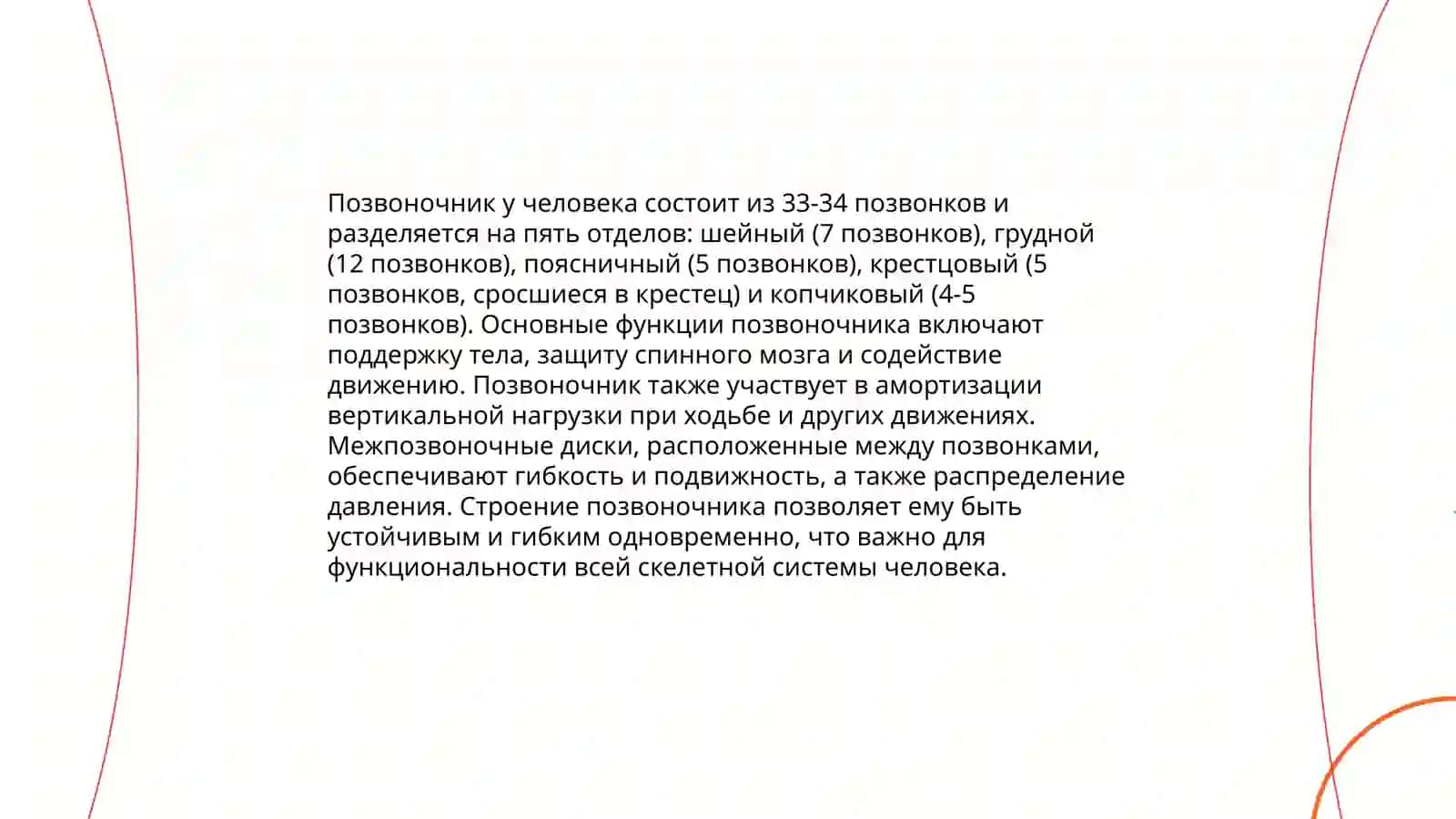 Скелет туловища. Описание классификации предметов 4