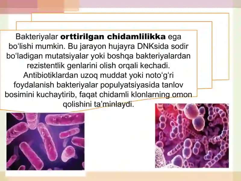 Bakteriyalarning antibiotiklarga chidamli shakllarini paydo bo‘lish mexanizimlari. 4