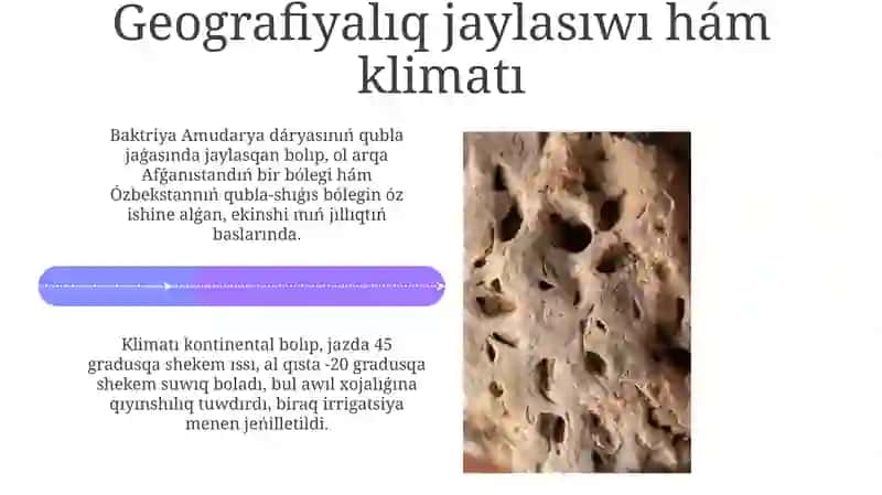 A'yyemgi Baqtriya 4