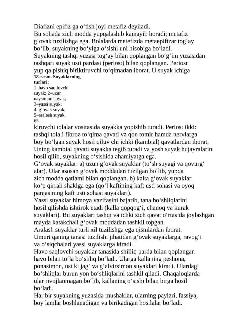 Suyak-mushak va biriktiruvchi to`qima azolarining anotomik fiziologik xususiyatlari 4