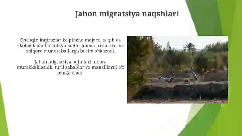 Migratsiya va qochoqlar muammosi 4