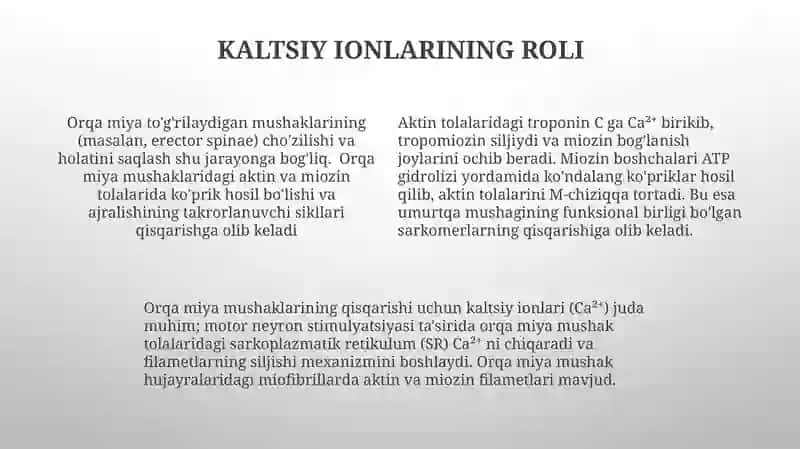 Sirpanuvchi ipchalar modeli 4