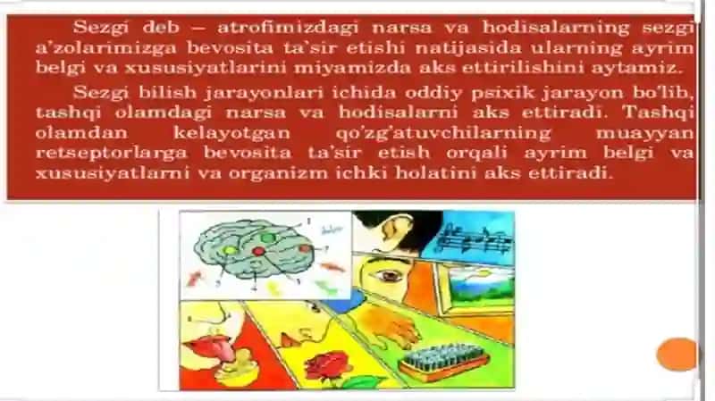 Sezgi haqida umumiy tushuncha va uning nеrffiziologik asoslari 4