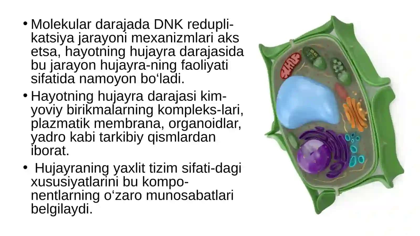 Hayotning hujayra darajasi va uning o‘ziga xos jihatlari 4