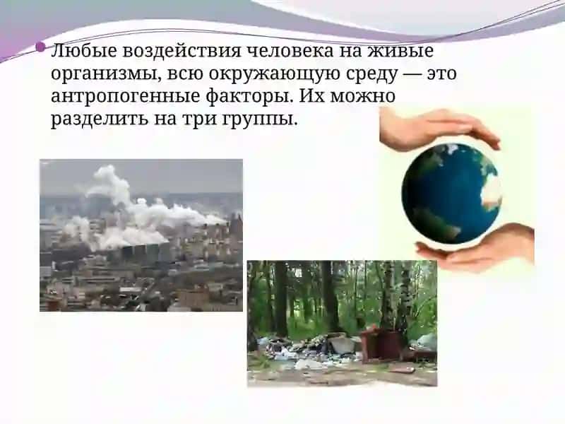 Влияние антропогенных факторов на здоровье 4