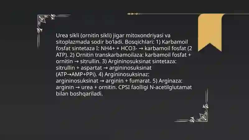 Azot almashinuvini oxirgi mahsulotlari. Siydikchil sintezi va chiqarilishining buzilishi 4