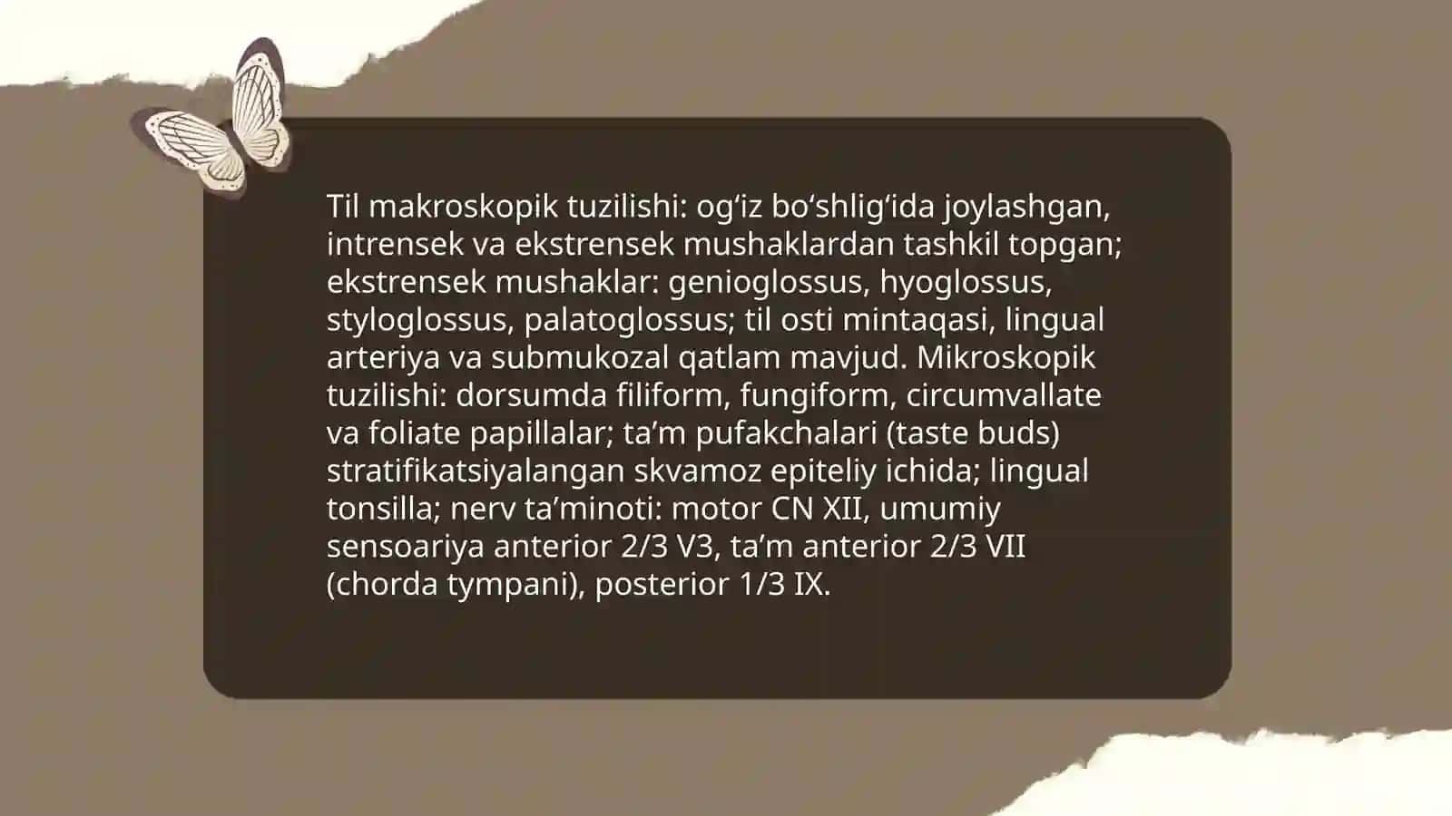 Ovqat hazm qilish aʼzolari tuzilishi 4