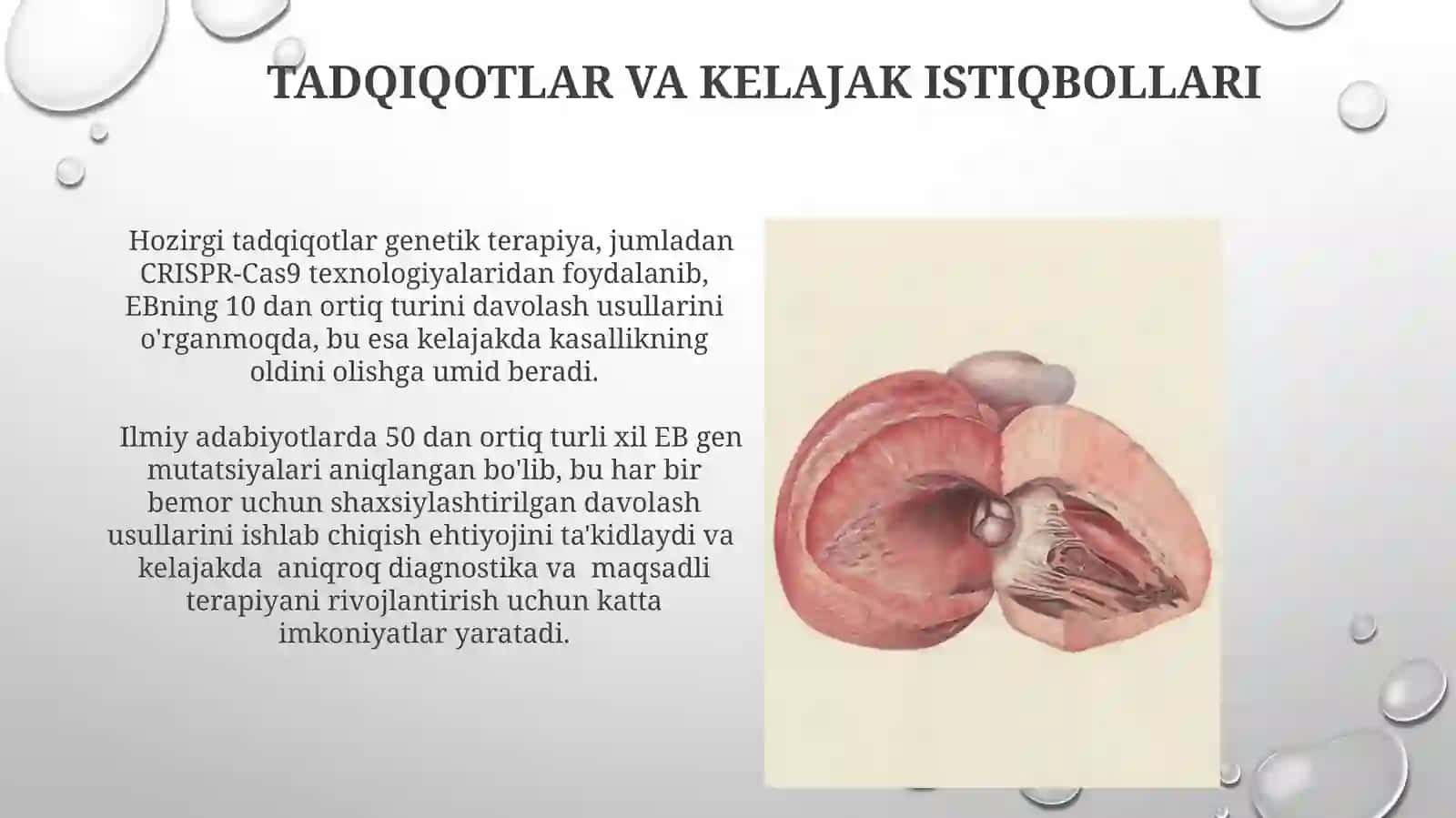 Bullyozepidimoliz,xeyli-xeylikasalligi 4