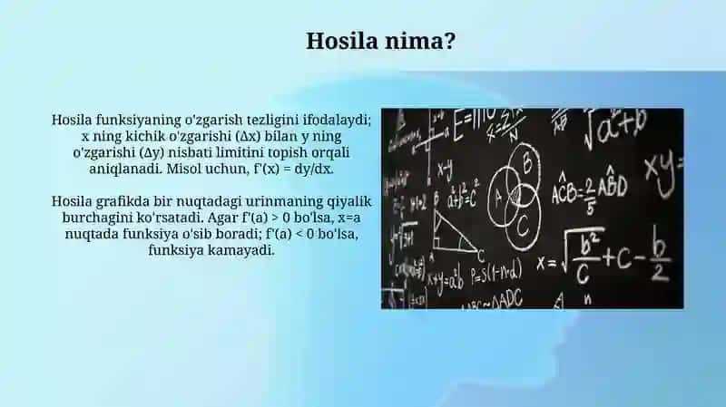 Oliy matematika: Hosila va uning maʼnosi 4