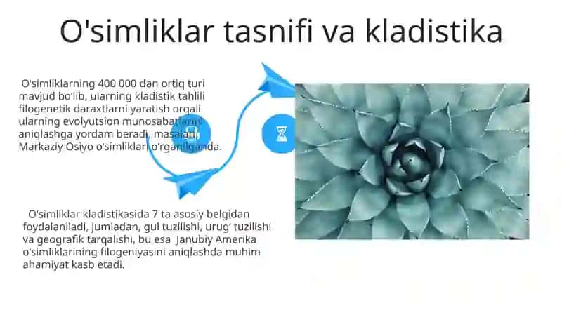 O'simliklar sistematikasi va tahlil 4
