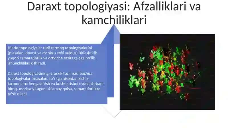 Kompyuter tarmoqlarining topologiyasi 4