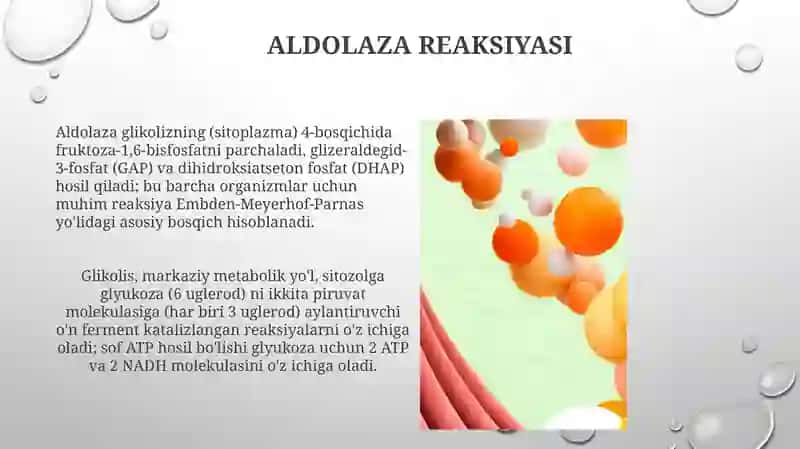 Glikolizning ayrim reaksiyalari 4