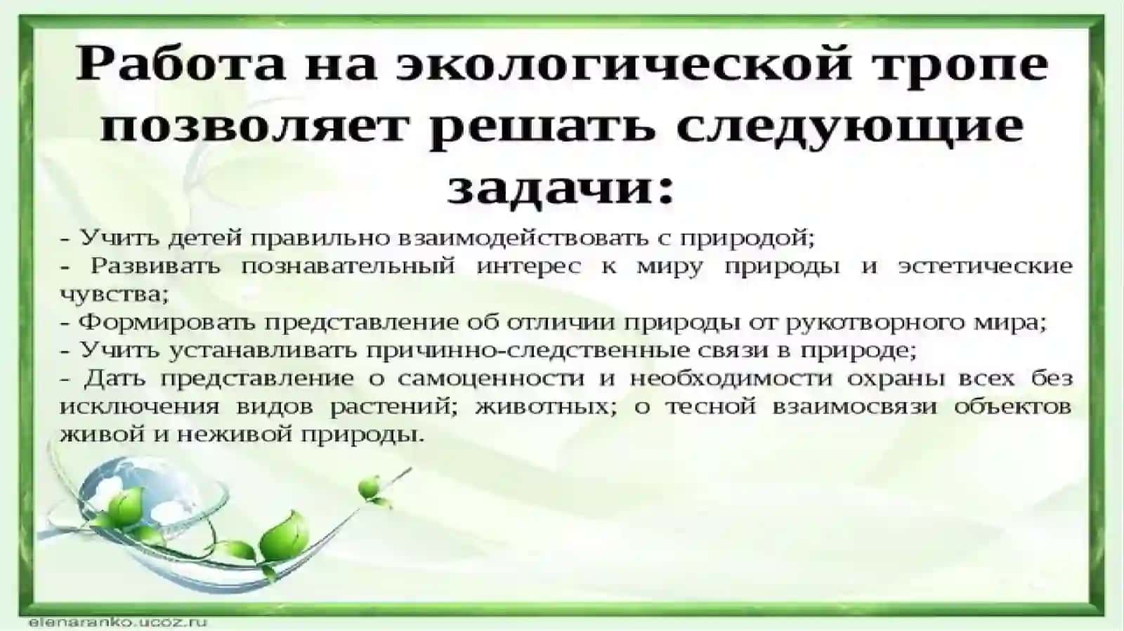 Экологическая тропа 4