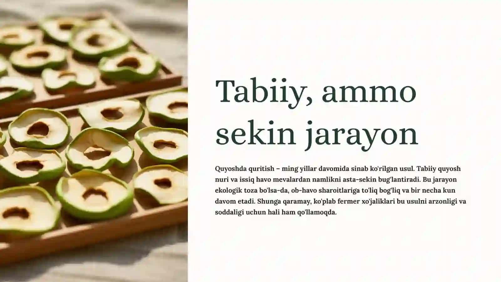Mevalarni xalq xo'jaligida quritish usullari va zamonaviy texnologiyalar 4