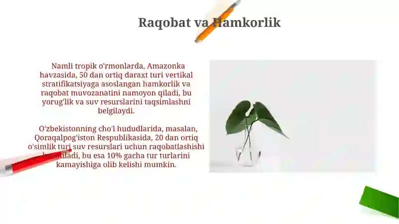 Oʻsimliklar ekologiyasi asoslari 4