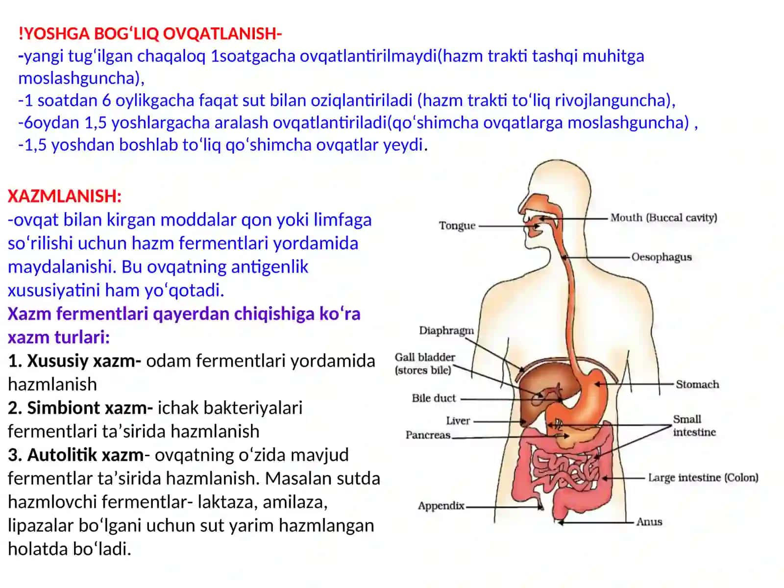 Moddalar almashinuviga kirish. Ovqatlanish Biokimyosi 4