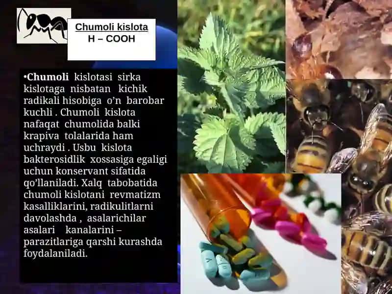 Kimyo kislotalari 4