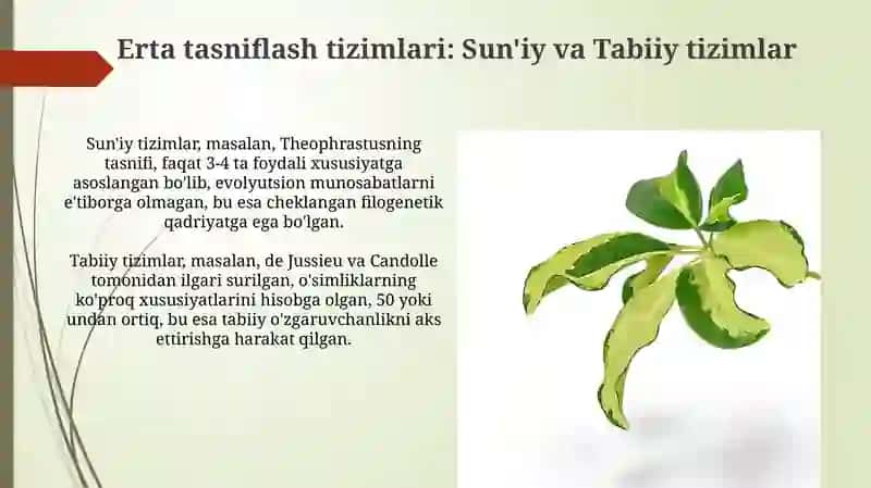 Yuksak oʻsimliklarning taksanomik tarixi 4