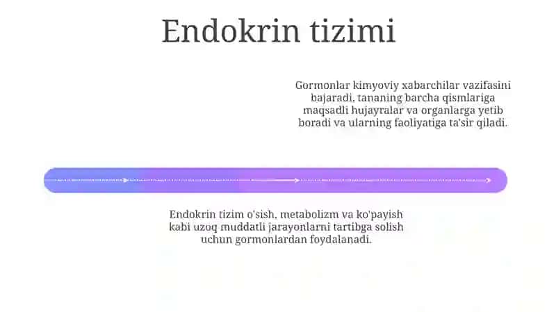 Integratsiya va nazorat 4