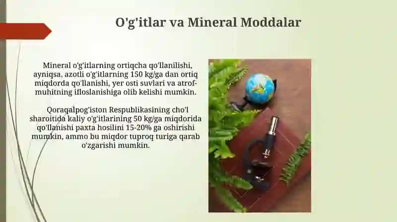 Turli Ekologik Sharoitlarda O'simliklarni Yetishtirish 4