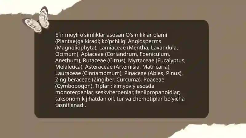 Efir moyli ekinlarning umumiy tavsifi. Kashnich biologiyasi va yetishtirish texnologiyasi 4