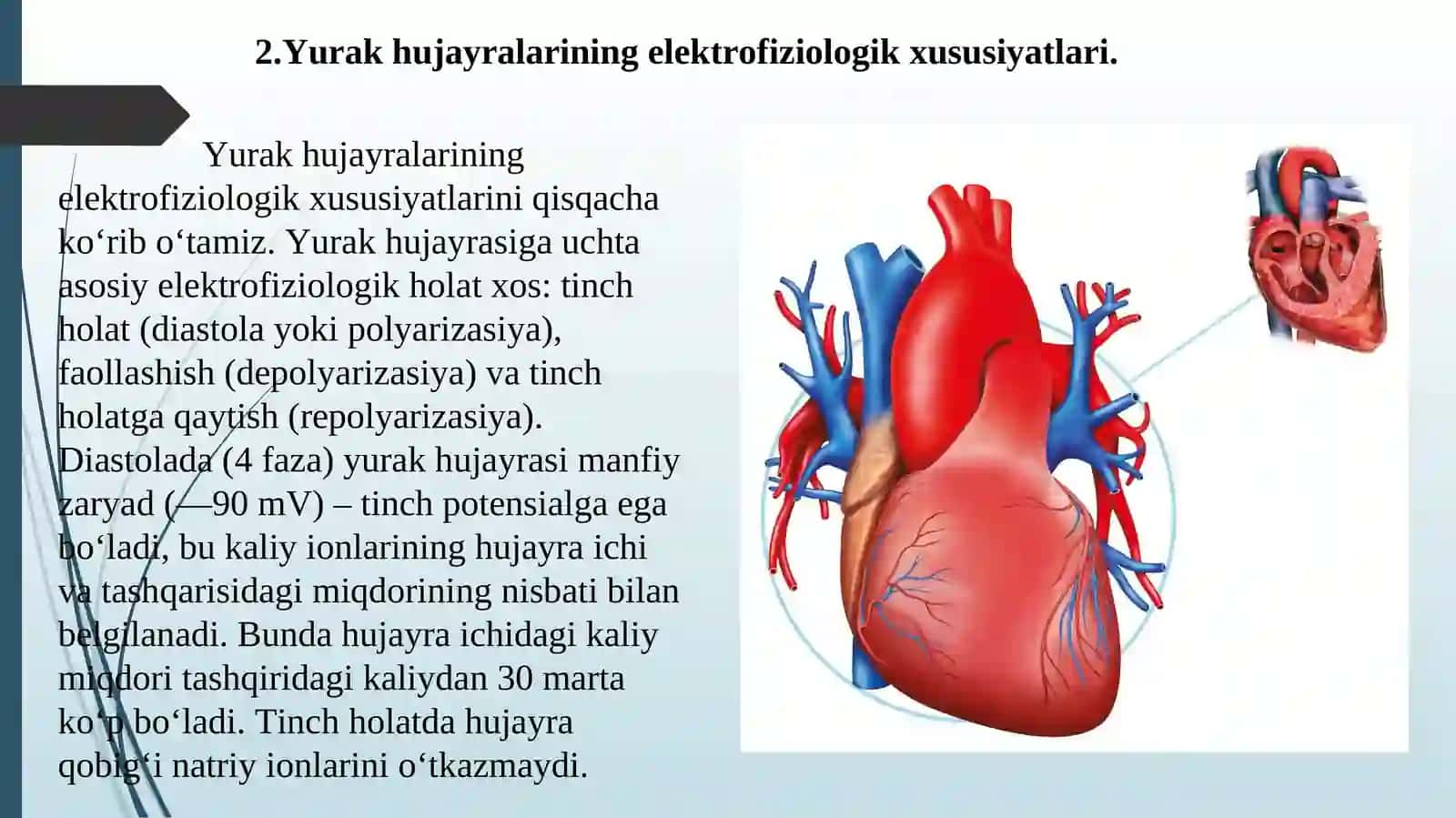 ANTIARITMIK DORI VOSITALARI. TOKSIKOLOGIK AHAMIYATI, AJRATIB OLISH, SIFAT VA MIQDORIY TAHLILI 4