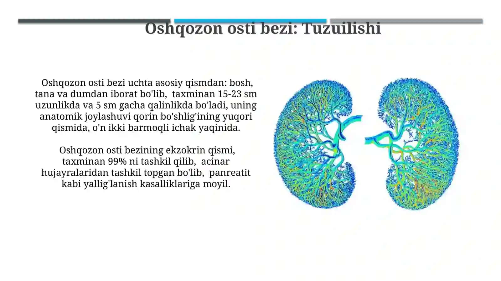 Jigar, me’da osti bezi: tuzilishi, topografiyasi, yoshga qarabo‘zgarishi 4