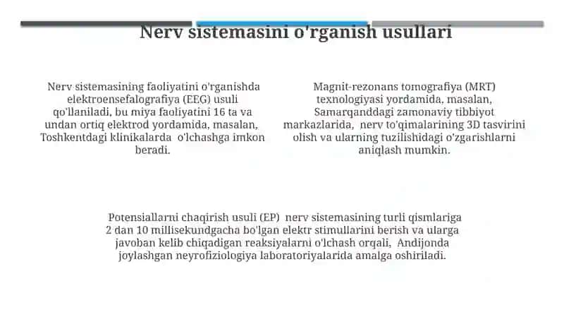 Nerv sistemasi va temperament 4