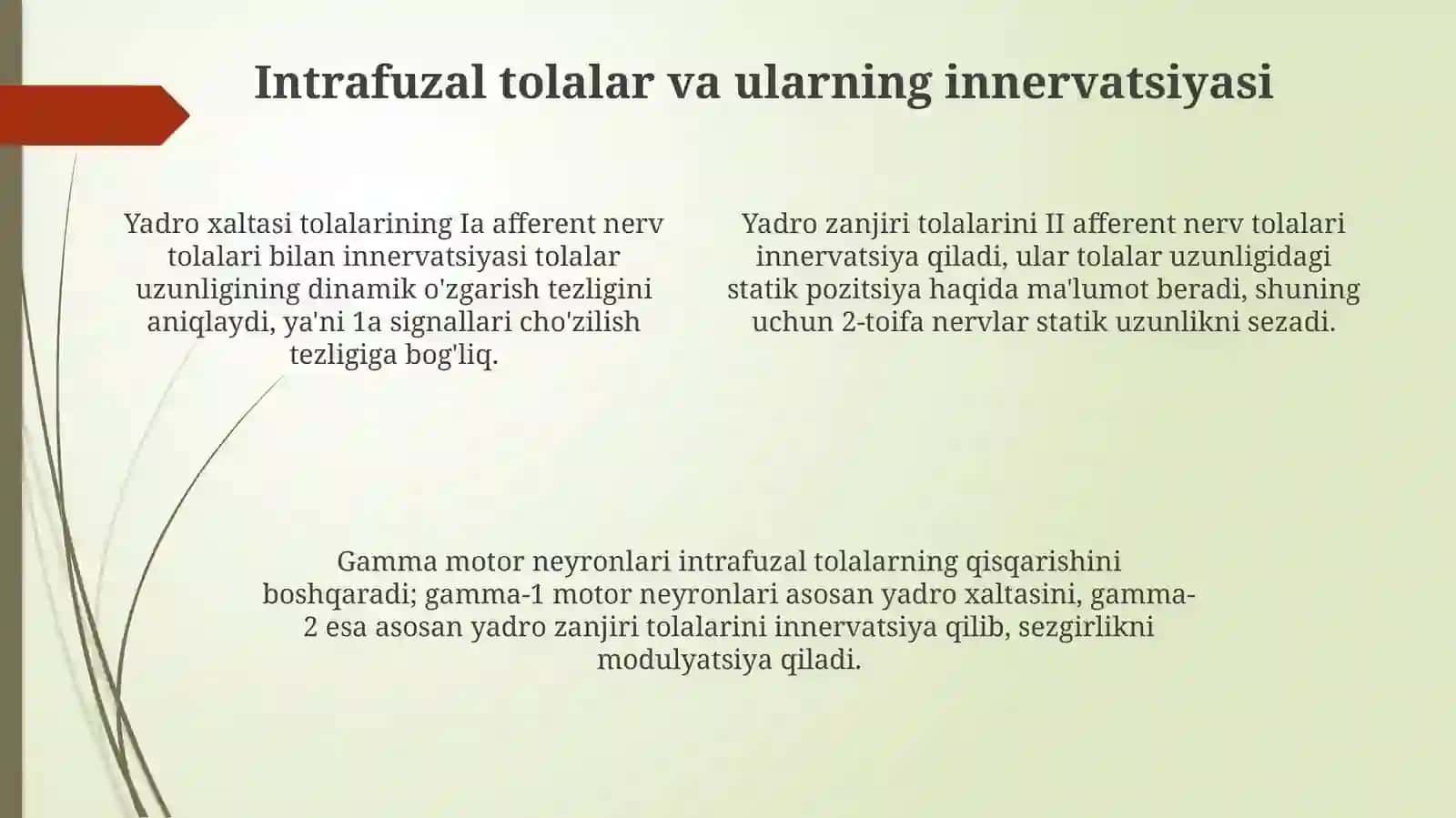 Nerv-mushak urchuqlarining tuzilishi va ishlash prinsipi 4
