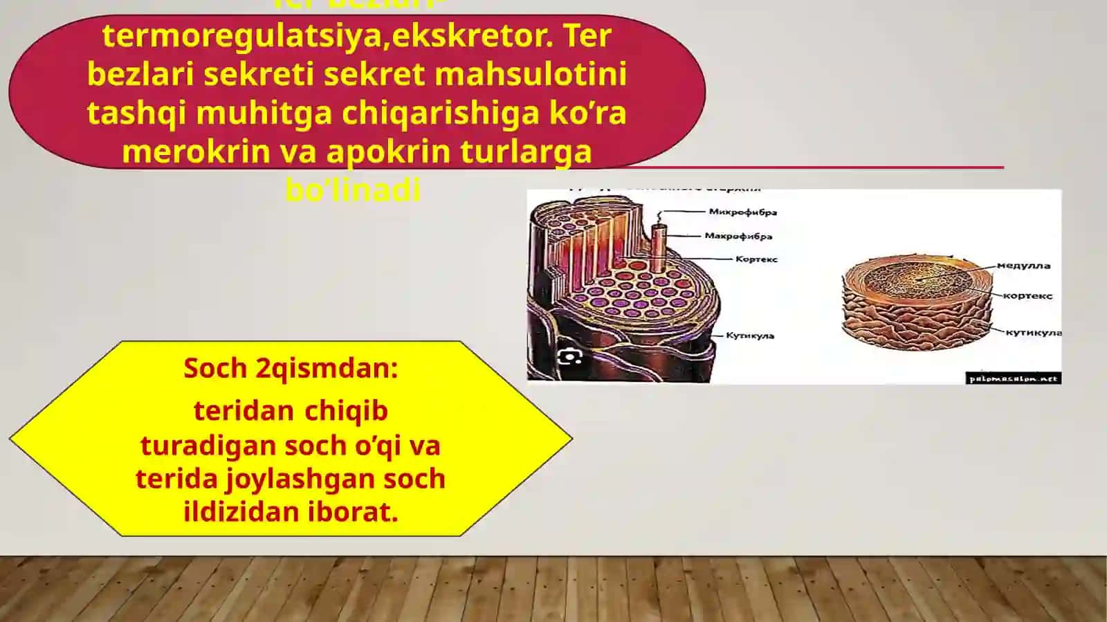 Terivauning ho Silalari 4