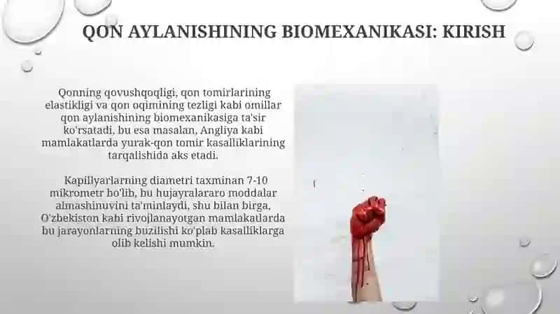 Qon aylanishining biomexanikasi 4