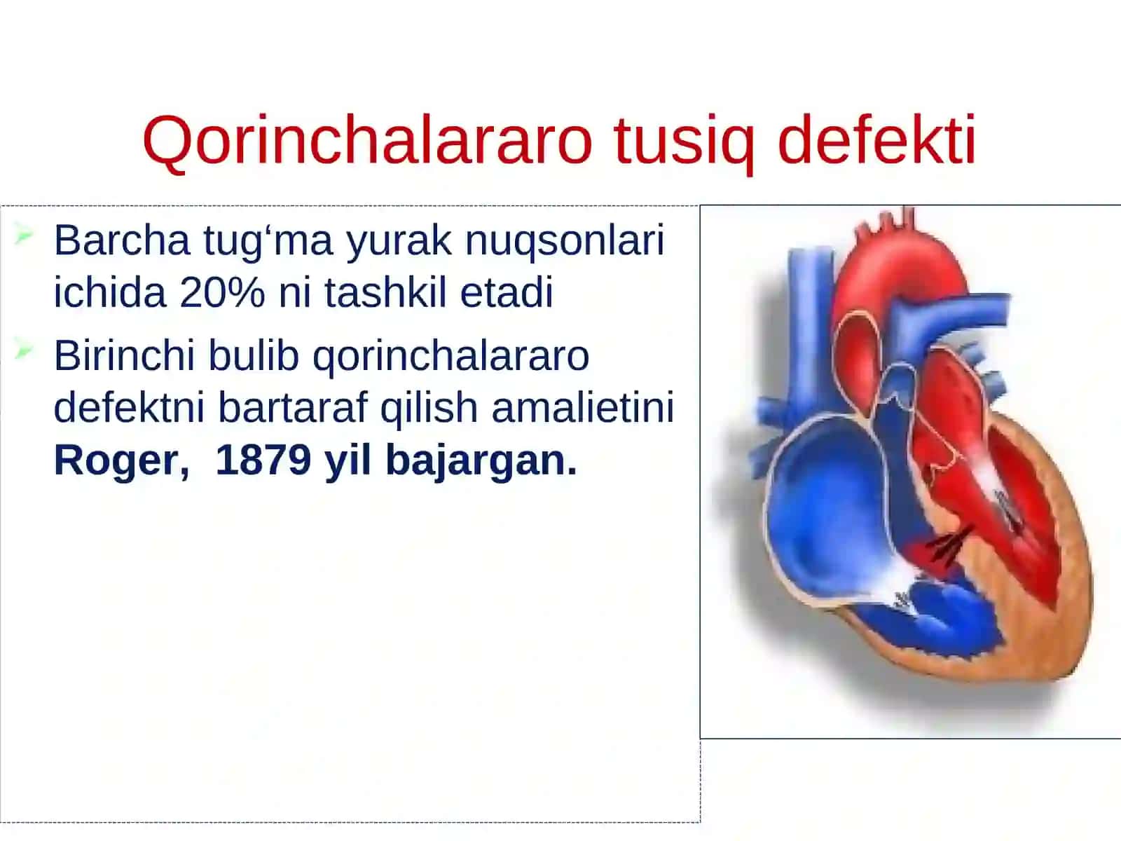 Tug‘mayurak nuqsonlari 4