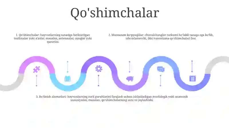 Radial simmetriya 4