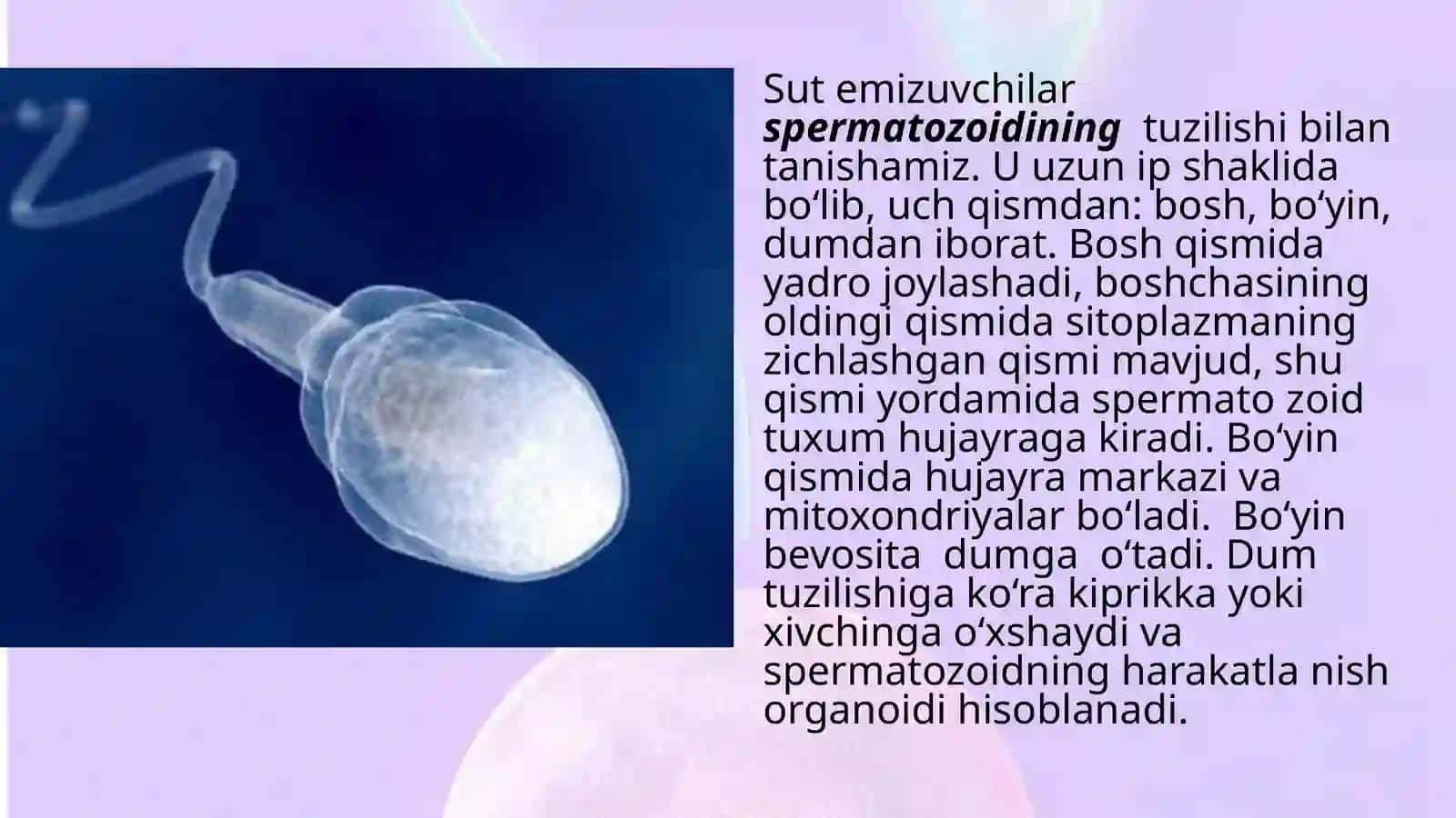 Jinsiyko‘payish biologiyasi 4