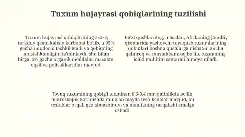 Tuxum hujayrasining qobiqlari ularning shakllanishi 4
