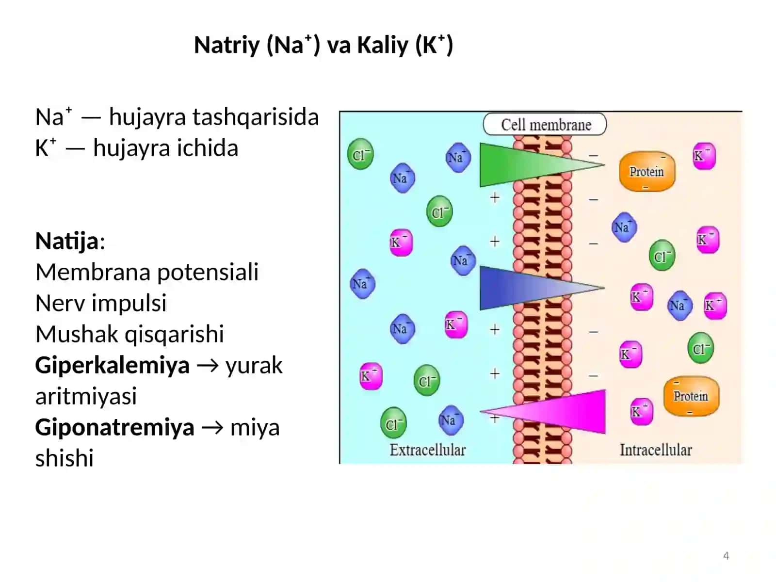 Biogenelementlar, Kompleks birikmalar, Dispers sistemalar, Eritmalar va ularning turlari, Kolloid eritmalar 4