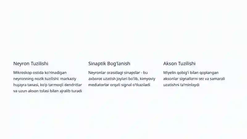 Nerv Tizimi: Tuzilishi va Vazifalari 4