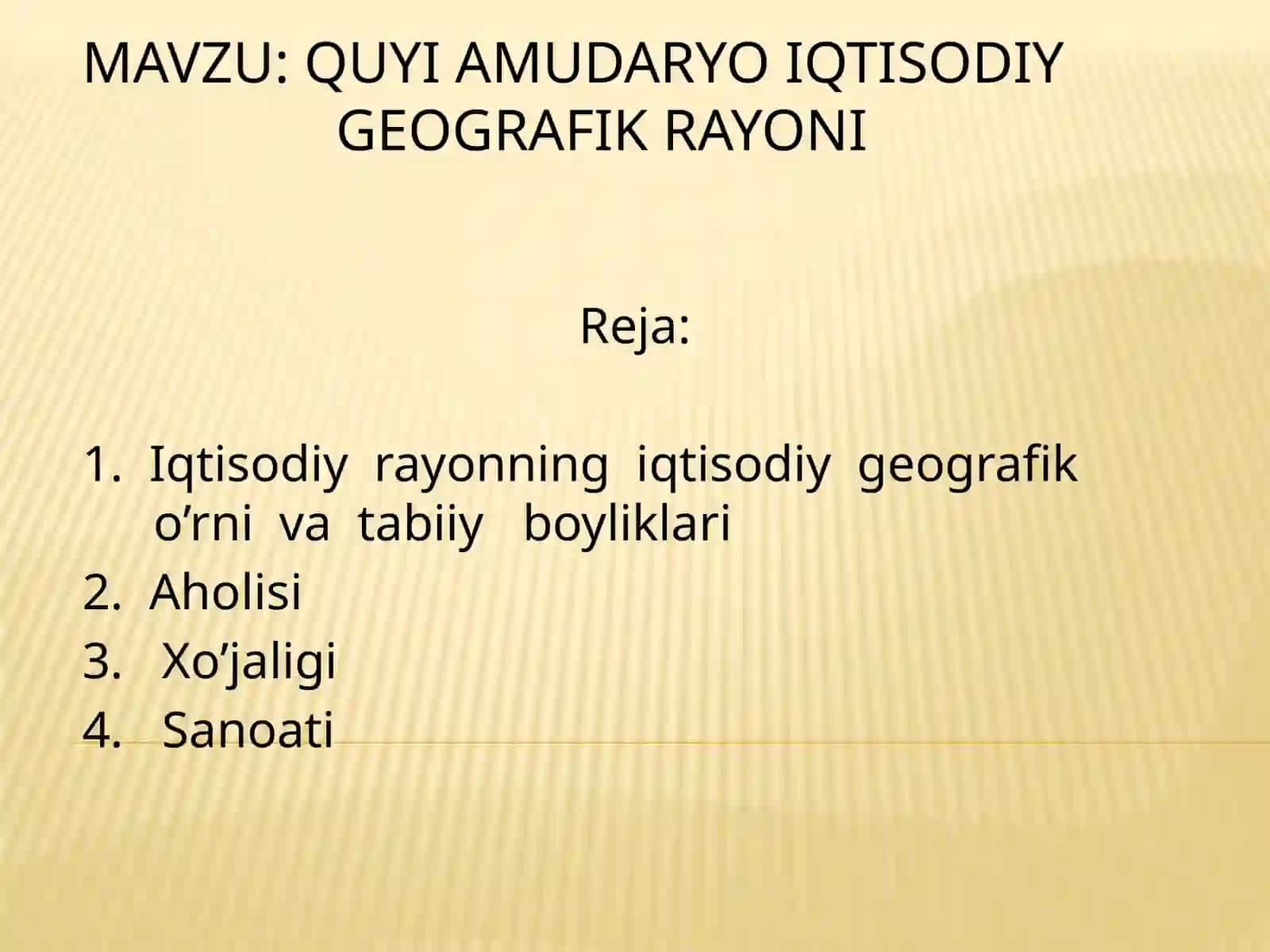 Quyi Amudaryo iqtisodiy rayoni 4