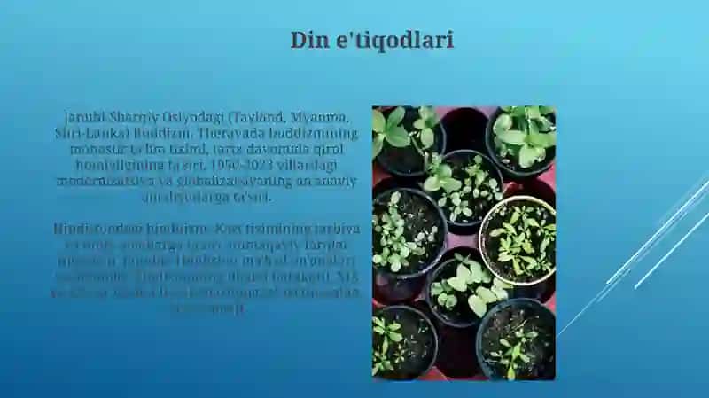 Tarbiyaga ta’sir etuvchi omillar 4